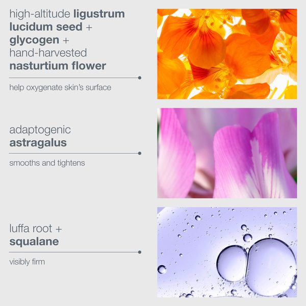 Phyto Nature Oxygen Cream